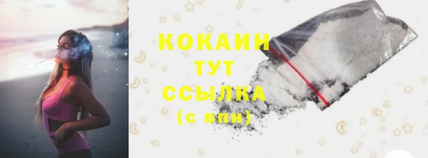 скорость Алзамай