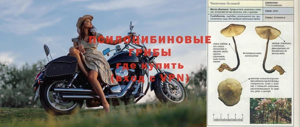 ALPHA-PVP Алексеевка